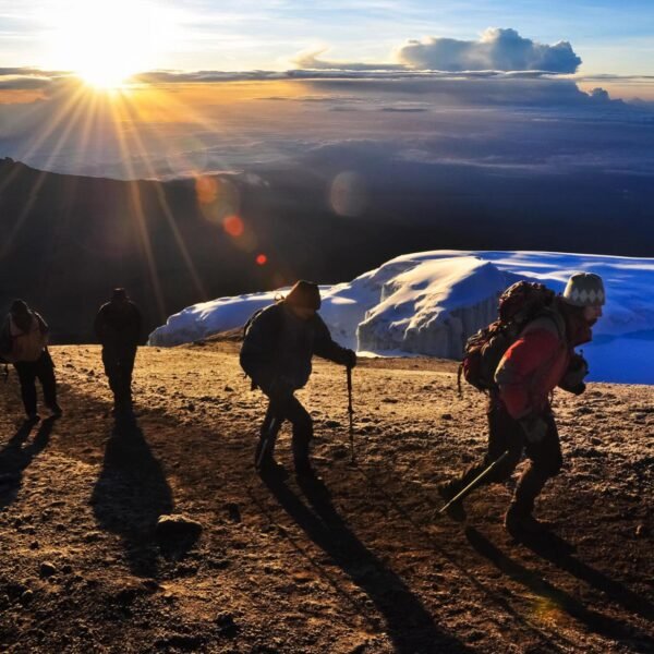 kilimanjaro trekking