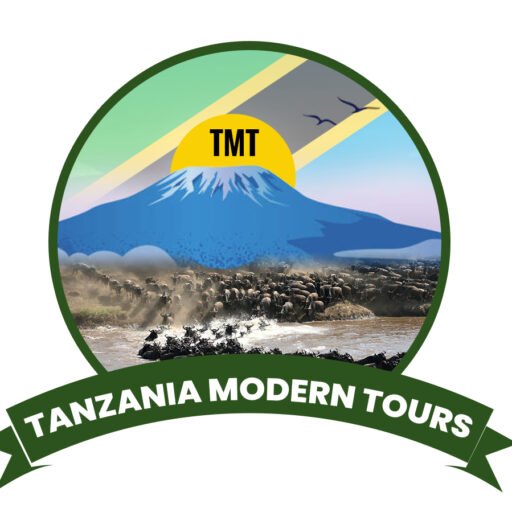 TANZANIA MODERN TOURS