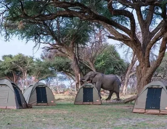 Camping Tanzania Safari Tours – From Zanzibar, Arusha, Airports & Dodoma
