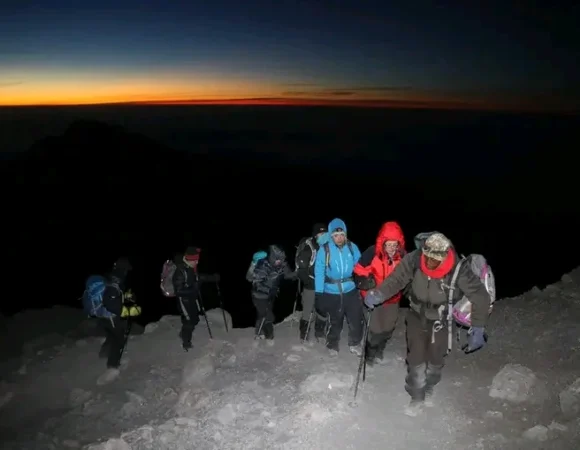 14-Day Large Group Mount Kilimanjaro Climbing & Tanzania Safari from Any Airport