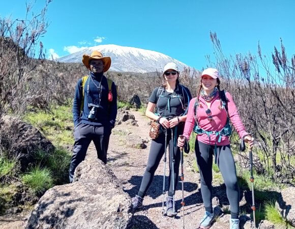 Best Kilimanjaro climbing tour 2026- 2050+ Moshi/ JRO Airport: 5 days Marangu Route trek