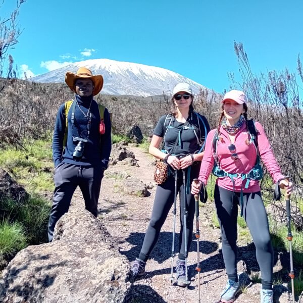 Best Kilimanjaro climbing tour 2026- 2050+ Moshi/ JRO Airport: 5 days Marangu Route trek