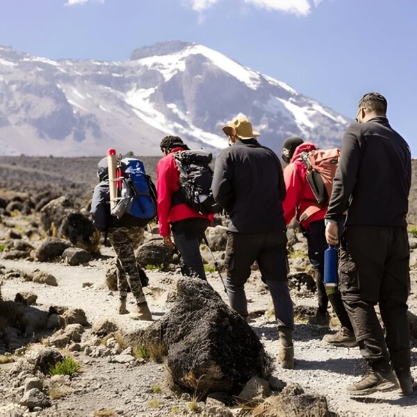 6-Day Group join  Machame route Kilimanjaro Trek from JRO airport/ Moshi/ Arusha