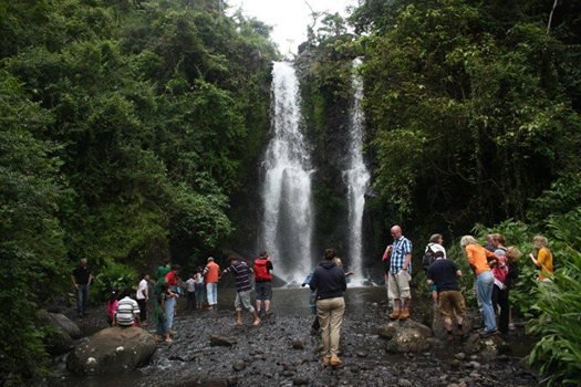 Top 2 Things to Do in Moshi: Explore Materuni Waterfall & Serval Wildlife Sanctuary