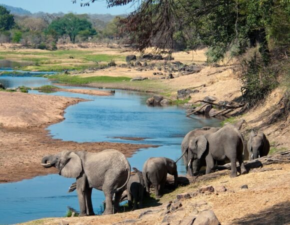 Recommended 6-Day Luxury Tanzania Safari tour package