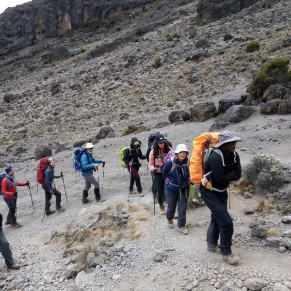 7 days Kilimanjaro climb via Umbwe route: 1st Kilimanjaro hardest route