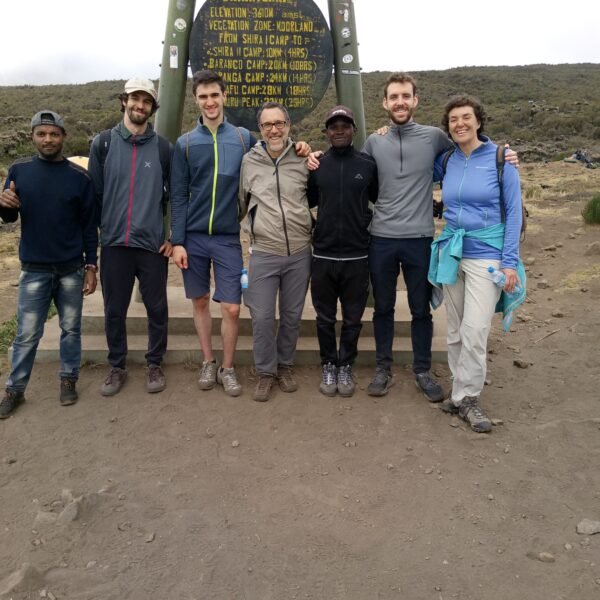 Large Group tour in Tanzania: 6 days Lemosho Route Kilimanjaro climbing