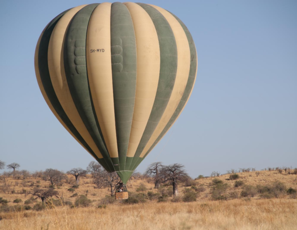 6 Day Ultimate Kilimanjaro climbing trip and Tanzania safari operator in Moshi