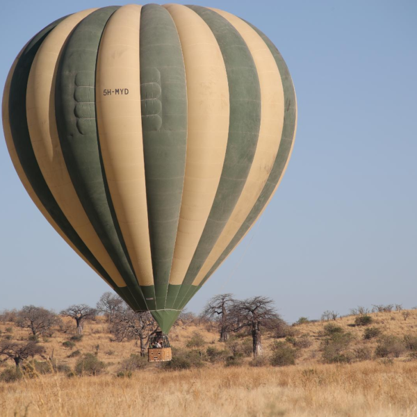 6 Day Ultimate Kilimanjaro climbing trip and Tanzania safari operator in Moshi