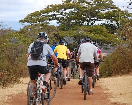 Shocking Bicycle Tour in Kilimanjaro from Moshi/ Arusha