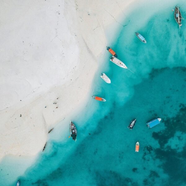 6 days Zanzibar beach tour from Abeid Amani Karume Internatinal Airport