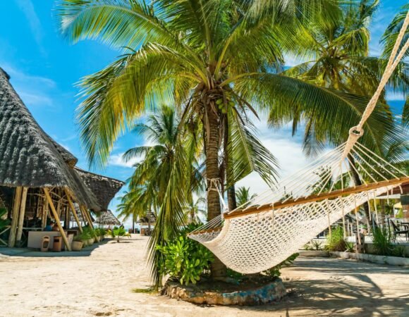 Top 5 Tanzania safari tours: 7-Day Tanzania Safari & Zanzibar Beach