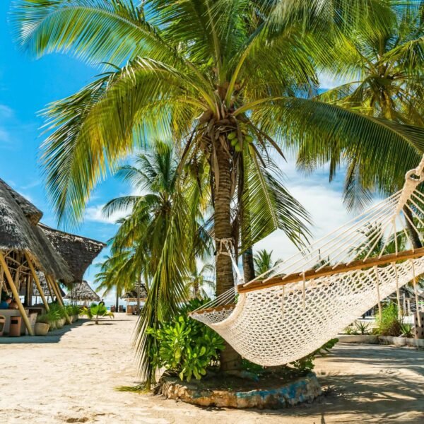 Top 5 Tanzania safari tours: 7-Day Tanzania Safari & Zanzibar Beach