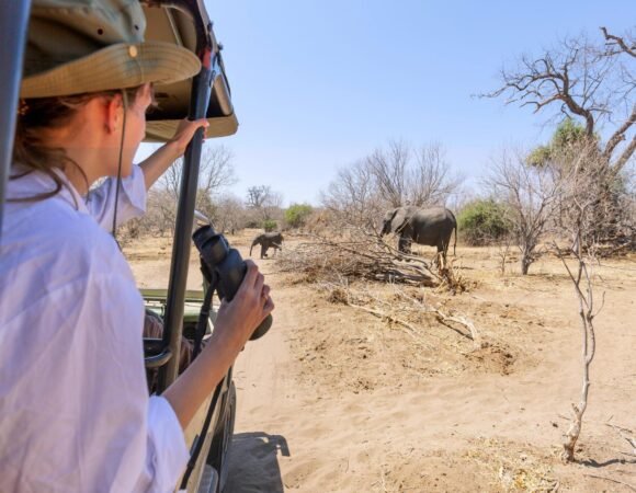 6-Day Serengeti Safari & Ngorongoro Crater Tour in Tanzania