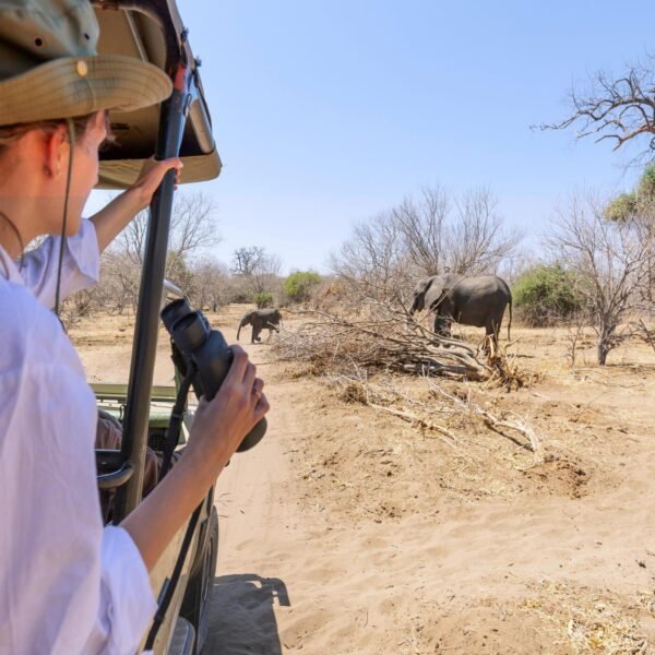 6-Day Serengeti Safari & Ngorongoro Crater Tour in Tanzania