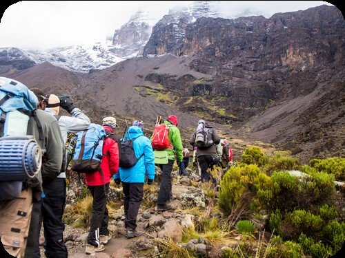 Kilimanjaro Climbing & Tanzania Safari from Switzerland/ USA/ France/ Canada