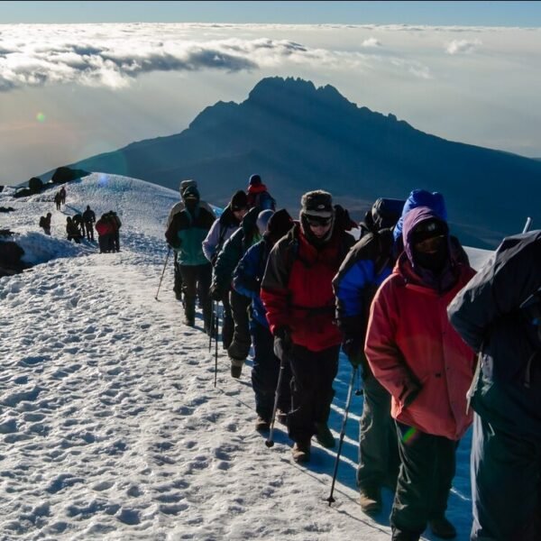 5- 8 DAY KILIMANJARO CLIMBING FROM MOSHI or KILIMANJARO AIRPORT