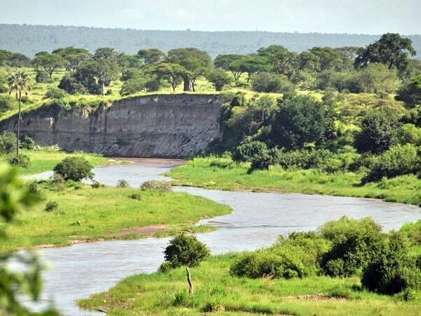 Tanzania Yoga retreat & Kilimanjaro Climbing Retreat