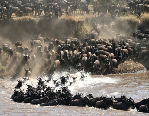 3-8 Day Tanzania Travel with Great Migration from any Gateway