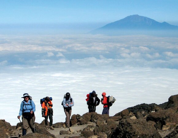 ALL TANZANIA TOURS - Book Your Perfect Trip Today