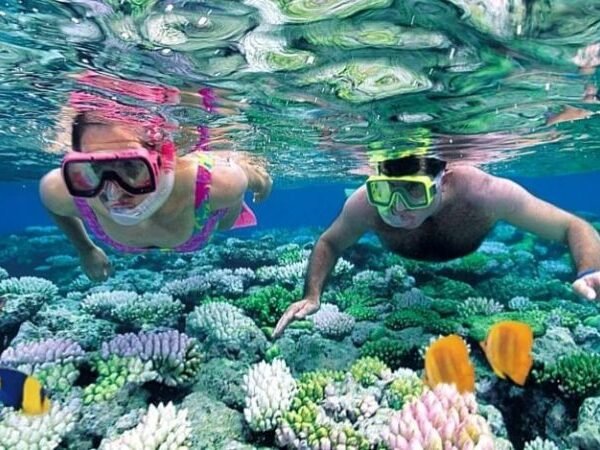 Best Tanzania destination tour from Airport| Dar es salaam| Moshi| Arusha