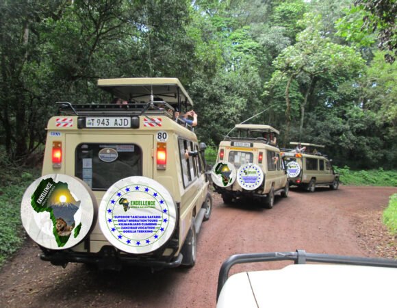 TANZANIA RECOMMENDED TOURS: PRIVATE AND GROUP TRAVEL PACKAGE