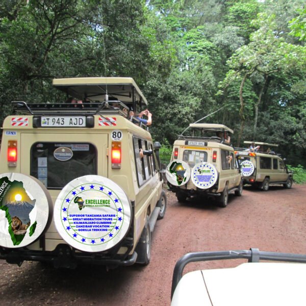 TANZANIA RECOMMENDED TOURS: PRIVATE AND GROUP TRAVEL PACKAGE