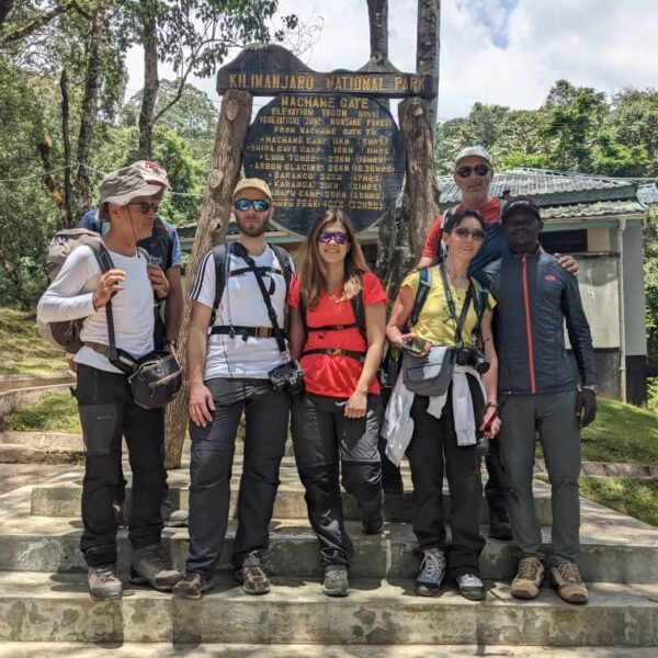 13-day Kilimanjaro Hiking and Tanzania safaris from airport/ Arusha