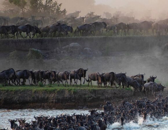 3-Day Premier Tanzania Safari Tours – Book Your Trip Today