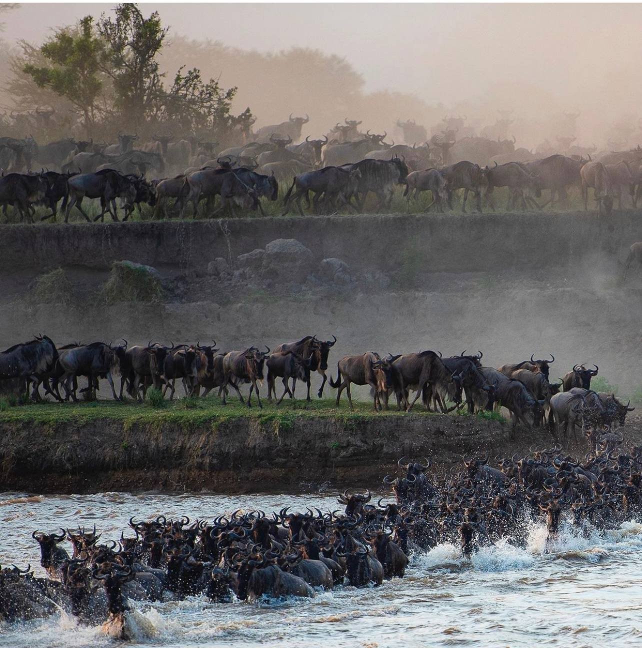 Cultural Experiences