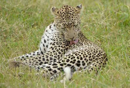 Tanzania safari tour