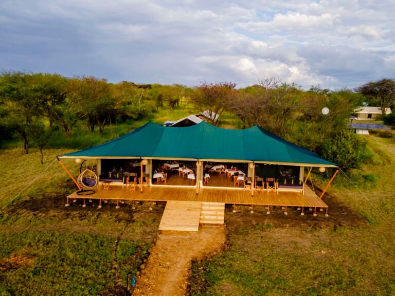 Serengeti-Classic-View-Camp-327-scaled