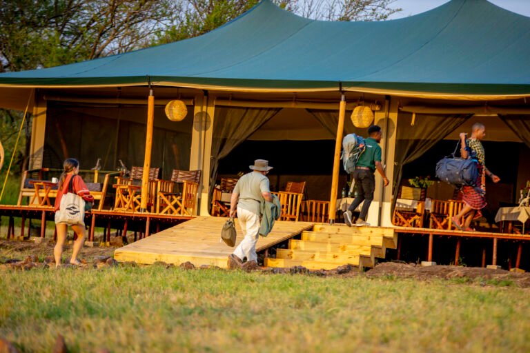 Serengeti-Classic-View-Camp-8