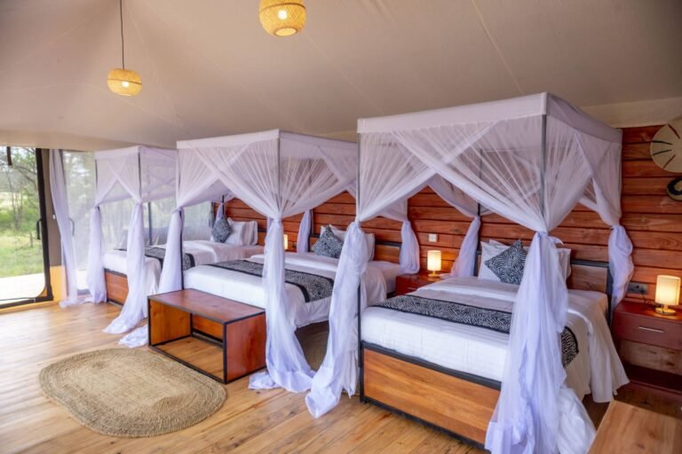 Serengeti-Classic-View-Camp-91-scaled