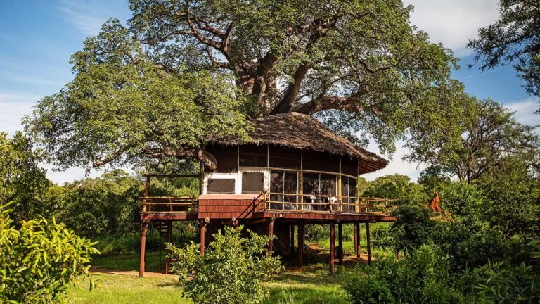 Tarangire-Treetops---accommodation---exterior-view-of-Treehouse-Suite
