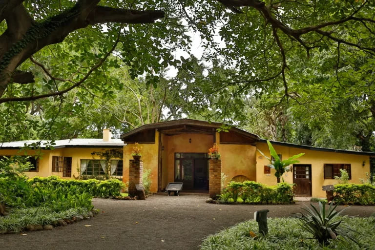 rivertrees-lodge-outside-1 (1)