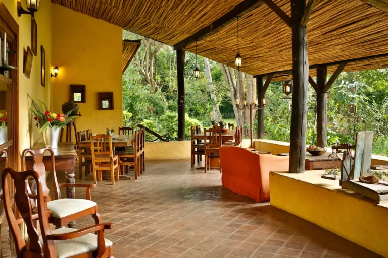 rivertrees-lodge-terrace