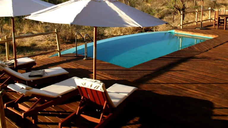 tarangire-treetops-01
