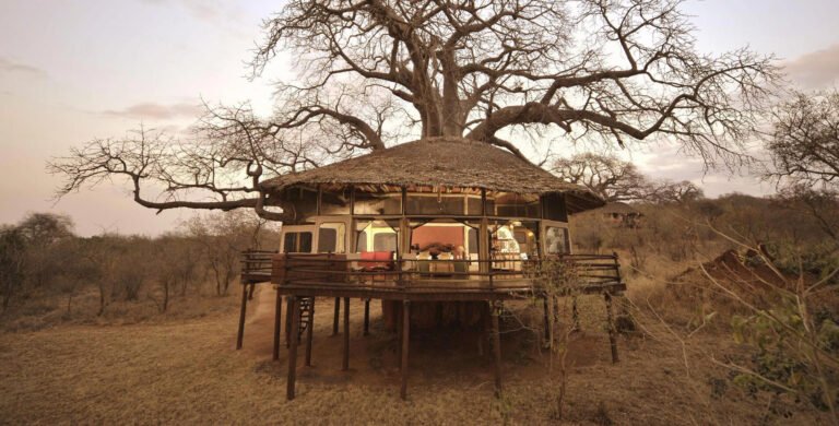 tarangire-treetops-room-tree-house-exterior-02-main