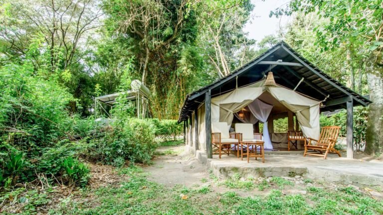1667477108_53_Sarova_Mara_Game_Camp_-_Standard_Tent_1