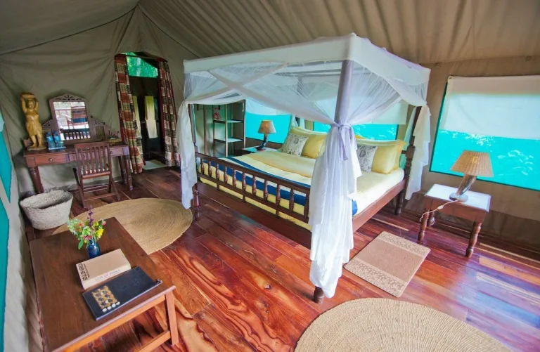 Kasekela-Luxury-Campsite2