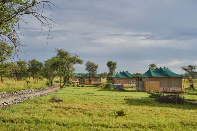 Land-of-Nature-Camp_AMY7432