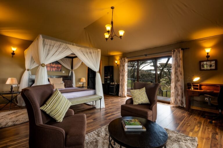 Ngorongoro-Lions-Paw_Honeymoon_1-scaled