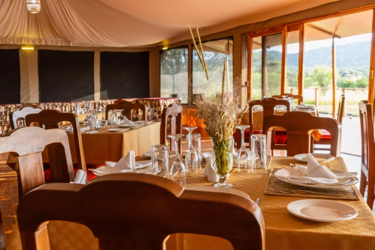 main-serengeti-safari-haven-40-scaled