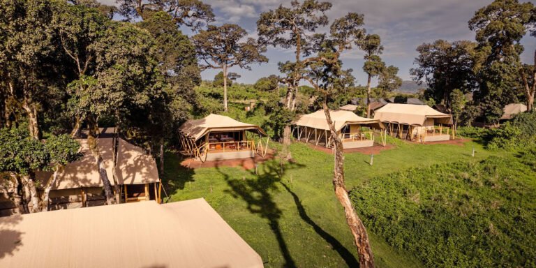 ngorongoro-header-1