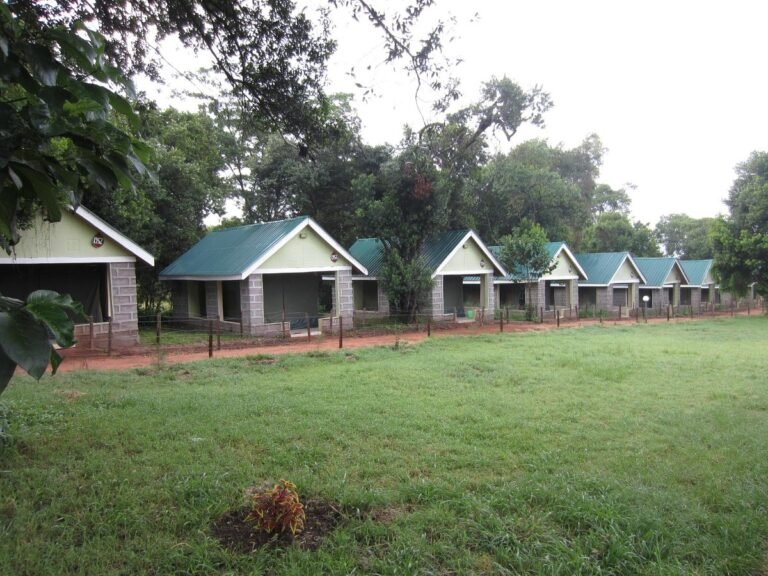rhino-tourist-camp
