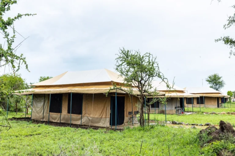 serengeti-wild-camp