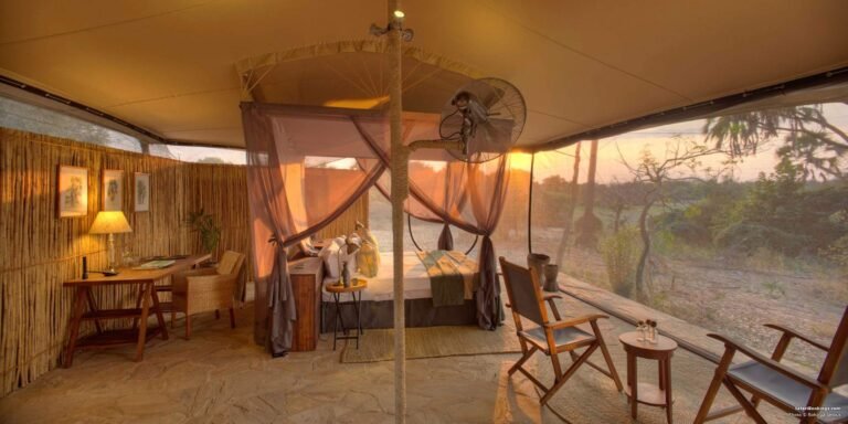 00-Top_10_Best_Selous_Luxury_Safari_Lodges_Camps-BW-1200px