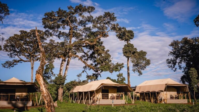 Angata-Ngorongoro-Camp-tanzania-safari-frank13-1920x1080