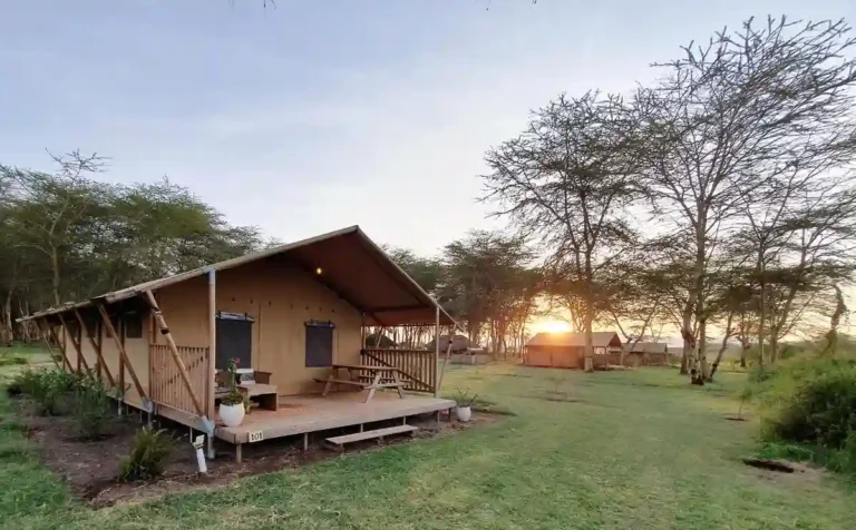 Lake-Manyara-Campsite-Accommodation